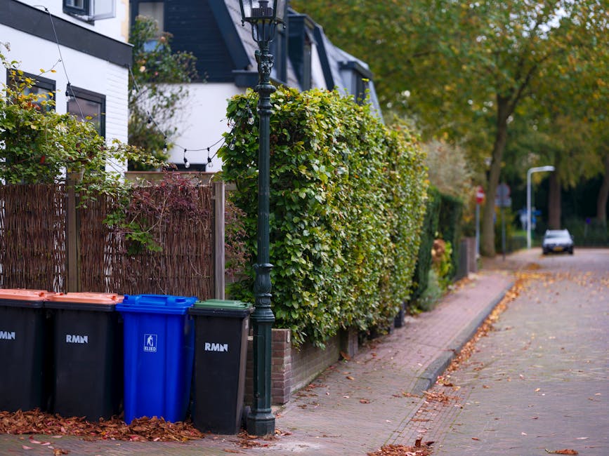 A row of three waste bins placed on a paved sidewalk beside a residential property, with two black bins and a central blue bin, all featuring the RMN logo, positioned next to a decorative lamppost. Behind the bins, a tall, dense green hedge runs along the property boundary, partially obscuring a white house with dark window frames and a black roof in the background. The sidewalk is lined with fallen autumn leaves, and further along the quiet street, there is a parked car and additional street furniture such as another lamppost. The scene depicts a typical urban or suburban rubbish collection setting, where private waste removal services like Waste Removal Battersea may operate outside the scope of official household waste rules, illustrating typical waste bin placement for community or alternative rubbish disposal methods under local regulations.